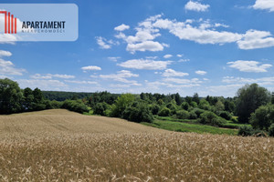 Działka na sprzedaż 11822m2 żniński Żnin Chomiąża Księża - zdjęcie 3