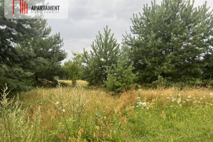 Działka na sprzedaż 897m2 bydgoski Białe Błota Łochowo - zdjęcie 3