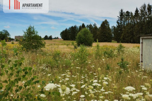 Działka na sprzedaż 3572m2 tucholski Cekcyn Lubińsk - zdjęcie 2