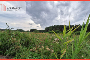 Działka na sprzedaż 3014m2 bydgoski Białe Błota - zdjęcie 1