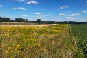 Działka na sprzedaż lubelski Jastków Tomaszowice-Kolonia - zdjęcie 1