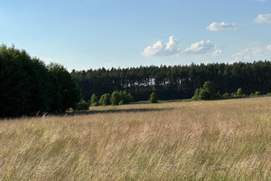 Działka na sprzedaż 1020m2 wyszkowski Zabrodzie Podgać - zdjęcie 3