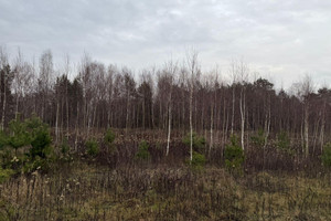 Działka na sprzedaż 1000m2 wołomiński Strachówka Kąty Czernickie - zdjęcie 3