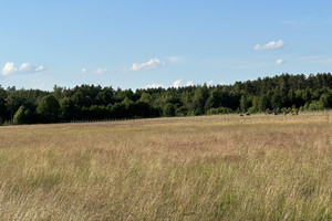 Działka na sprzedaż 1020m2 wyszkowski Zabrodzie Podgać - zdjęcie 2