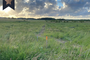 Działka na sprzedaż 155000m2 lęborski Lębork Polna - zdjęcie 1