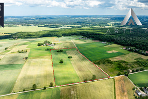 Działka na sprzedaż 4005m2 wejherowski Luzino Tępcz Długa - zdjęcie 2