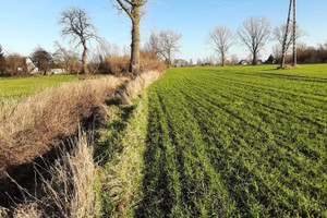 Działka na sprzedaż nowodworski Ostaszewo Piaskowiec - zdjęcie 3