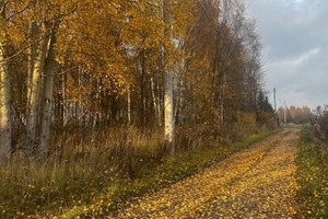 Działka na sprzedaż 2000m2 grodziski Grodzisk Mazowiecki Książenice - zdjęcie 2