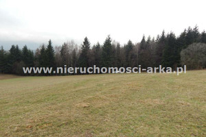 Działka na sprzedaż 18300m2 limanowski Jodłownik - zdjęcie 4