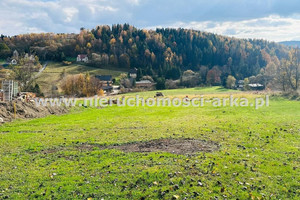 Działka na sprzedaż suski Jordanów - zdjęcie 4