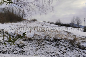 Działka na sprzedaż 1625m2 myślenicki Wiśniowa Poznachowice Dolne - zdjęcie 1