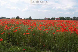 Działka na sprzedaż 1114m2 nowodworski Leoncin - zdjęcie 1