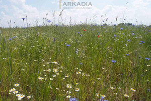 Działka na sprzedaż 1093m2 nowodworski Leoncin - zdjęcie 1