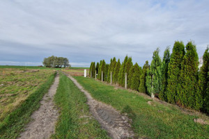 Działka na sprzedaż 1000m2 gryfiński Banie - zdjęcie 1