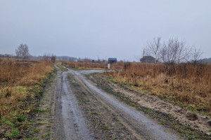 Działka na sprzedaż 4561m2 kamieński Dziwnów Międzywodzie - zdjęcie 3