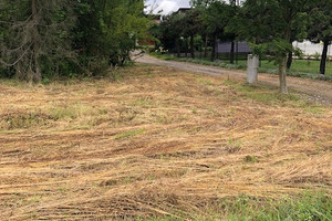 Działka na sprzedaż 4906m2 proszowicki Koniusza Biórków Mały - zdjęcie 2