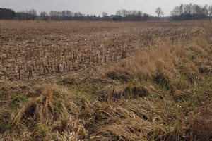 Działka na sprzedaż 30000m2 oławski Jelcz-Laskowice Miłocice - zdjęcie 3