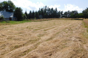 Działka na sprzedaż 2622m2 kłodzki Duszniki-Zdrój - zdjęcie 1