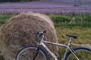 Działka na sprzedaż 3084m2 kłodzki Kudowa-Zdrój - zdjęcie 3