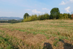 Działka na sprzedaż 291440m2 kłodzki Kłodzko Jaszkowa Dolna - zdjęcie 2