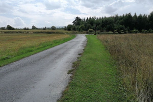 Działka na sprzedaż 6400m2 kłodzki Polanica-Zdrój Starków - zdjęcie 2