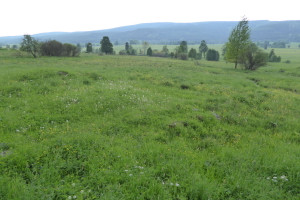 Działka na sprzedaż 1895m2 kłodzki Bystrzyca Kłodzka Lasówka - zdjęcie 2