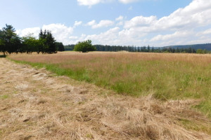 Działka na sprzedaż 2622m2 kłodzki Duszniki-Zdrój - zdjęcie 3