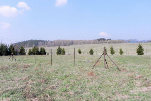 Działka na sprzedaż 1600m2 kłodzki Duszniki-Zdrój - zdjęcie 2