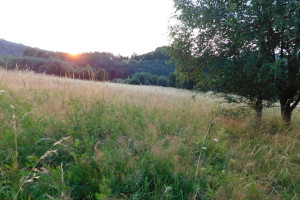 Działka na sprzedaż 1200m2 wałbrzyski Walim A. mICKIEWICZA - zdjęcie 1