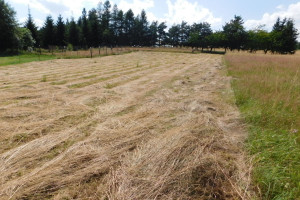 Działka na sprzedaż 2622m2 kłodzki Duszniki-Zdrój - zdjęcie 2