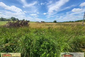 Działka na sprzedaż 10800m2 stargardzki Dobrzany - zdjęcie 2