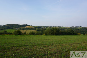 Działka na sprzedaż 2000m2 krakowski Zabierzów Zelków - zdjęcie 2