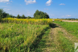 Działka na sprzedaż 10810m2 krakowski Jerzmanowice-Przeginia Gotkowice - zdjęcie 2