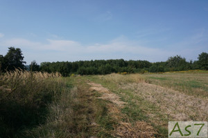 Działka na sprzedaż 700m2 krakowski Wielka Wieś Tomaszowice Spacerowa - zdjęcie 2