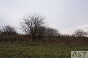 Działka na sprzedaż 4445m2 krakowski Zabierzów Bolechowice - zdjęcie 3