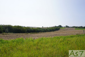 Działka na sprzedaż 7474m2 krakowski Wielka Wieś - zdjęcie 3