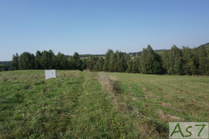 Działka na sprzedaż 2000m2 krakowski Zabierzów Zelków - zdjęcie 2