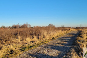 Działka na sprzedaż 4445m2 krakowski Zabierzów Bolechowice - zdjęcie 3