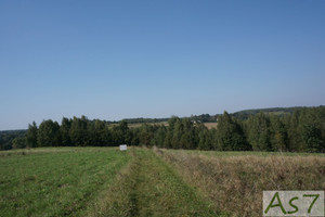 Działka na sprzedaż 2000m2 krakowski Zabierzów Zelków - zdjęcie 1