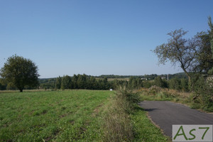 Działka na sprzedaż 2000m2 krakowski Zabierzów Zelków - zdjęcie 3