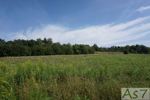 Działka na sprzedaż 910m2 krakowski Zabierzów Bolechowice - zdjęcie 3