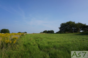 Działka na sprzedaż 2400m2 krakowski Zabierzów Zelków - zdjęcie 1