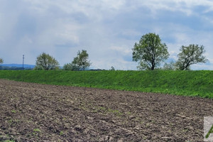 Działka na sprzedaż krakowski Czernichów Wołowice - zdjęcie 2