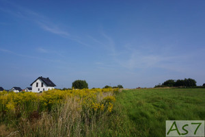 Działka na sprzedaż 2400m2 krakowski Zabierzów Zelków - zdjęcie 2