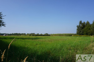 Działka na sprzedaż 2008m2 krakowski Zabierzów Zelków - zdjęcie 2