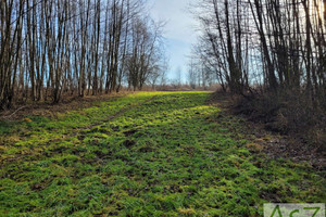 Działka na sprzedaż 700m2 krakowski Wielka Wieś Tomaszowice Spacerowa - zdjęcie 3