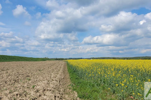 Działka na sprzedaż krakowski Czernichów Wołowice - zdjęcie 3