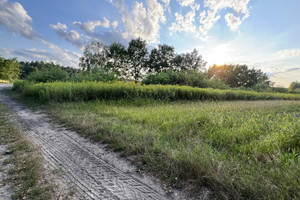 Działka na sprzedaż 2772m2 mielecki Padew Narodowa Piechoty - zdjęcie 3