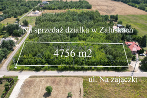 Działka na sprzedaż 4756m2 płoński Załuski - zdjęcie 1