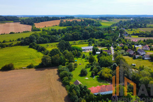 Działka na sprzedaż 2900m2 ząbkowicki Ziębice Kalinowice Górne - zdjęcie 1